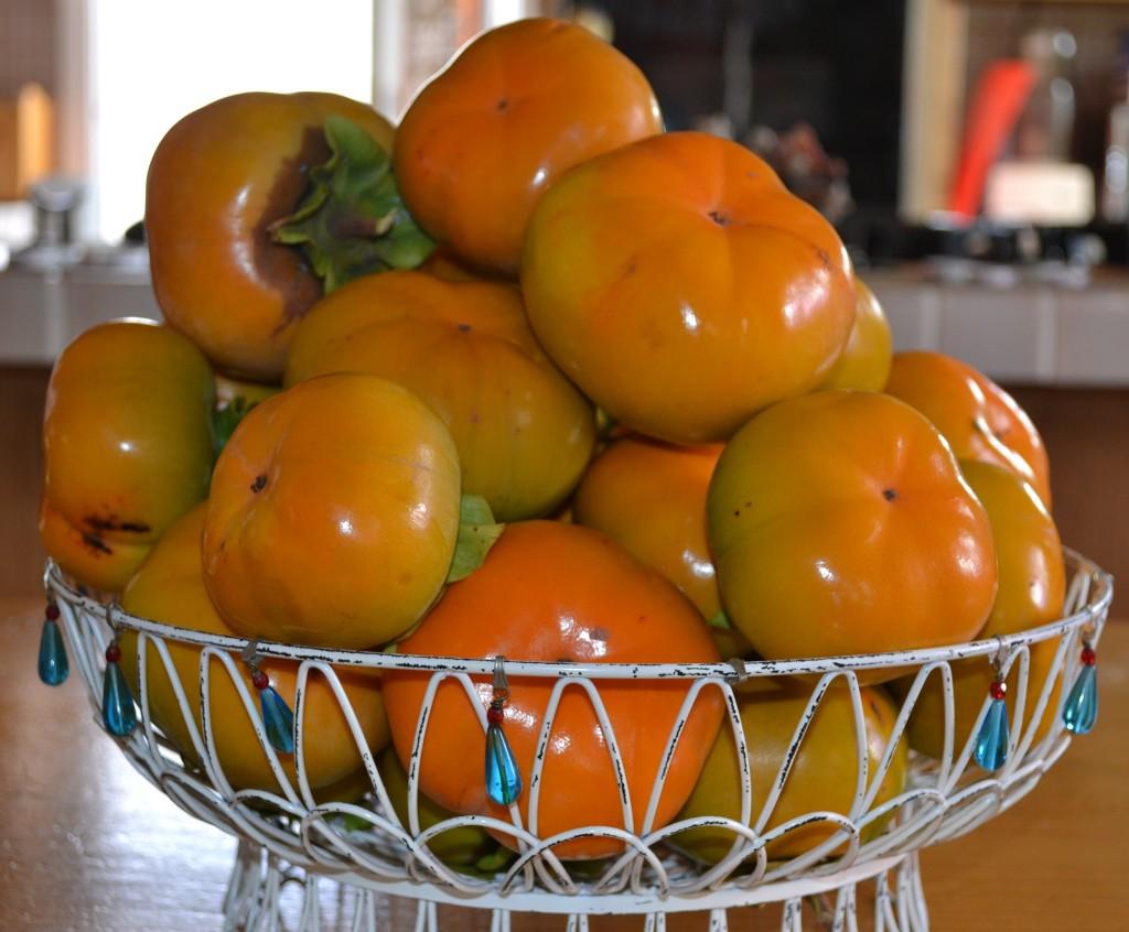 All About Persimmons