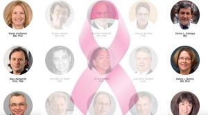 Multiple researchers involved in BCRF