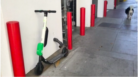 Bird Scooters Banned in local areas